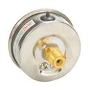 H.O. Trerice Stainless Steel 2-1/2 x 1/4 in. Liquid Filled Stainless Steel Brass Center Back Mount Pressure Gauge 