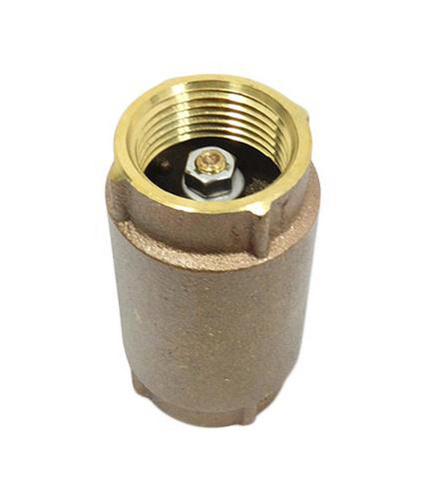 Brecco Cast Brass NPT Check Valve 