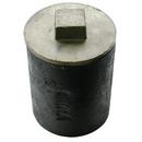 3 in. Cast Iron Cleanout Ferrule with Plug