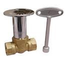 1/2 in. Log Lighter Gas Valve in Chrome Plated