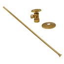 Toilet 3/8 x 20 in. Supply Kit in Polished Brass