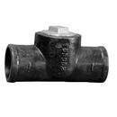 4 in. No Hub Cast Iron Test Tee with Plug