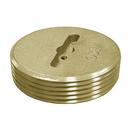 2 in. Brass Slotted Plug