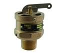 Apollo Valves Bronze 3/4 in. Bronze MNPT x FNPT 250 Relief Valve 