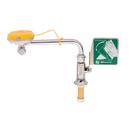 T&S Brass Chrome OD Tube Chrome Plated Brass Swivel Deck Mount Eyewash 