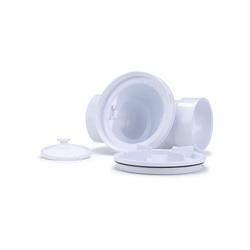 4 in. PVC Check Valve