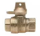 Mueller Company FIPS Cast Brass Alloy Straight Ball Service Valve 