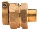 Mueller Company Pack Joint x MIPT Brass Coupling 