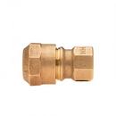 1 in. CTS x FIP Brass Straight Coupling