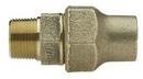 2 in. Flared x MIP Brass Coupling