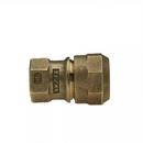 Mueller Company Brass Coupling 