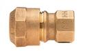 Mueller Company Compression x FIPT Cast Brass Alloy Coupling 