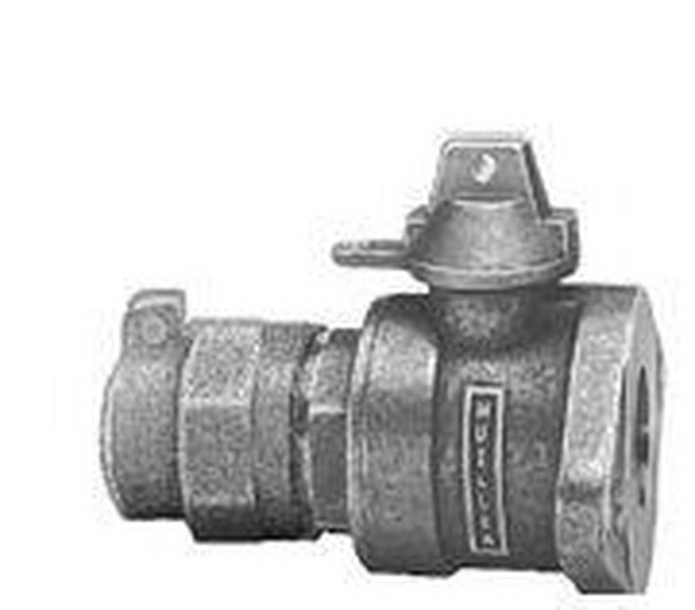 Mueller Company CTS x Meter Flanged Ball Valve 