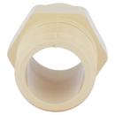 Cream CTS CPVC Male Adapter 