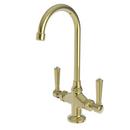Newport Brass Unlacquered Brass - Living Bar or Prep Faucet with Double Lever Handle 