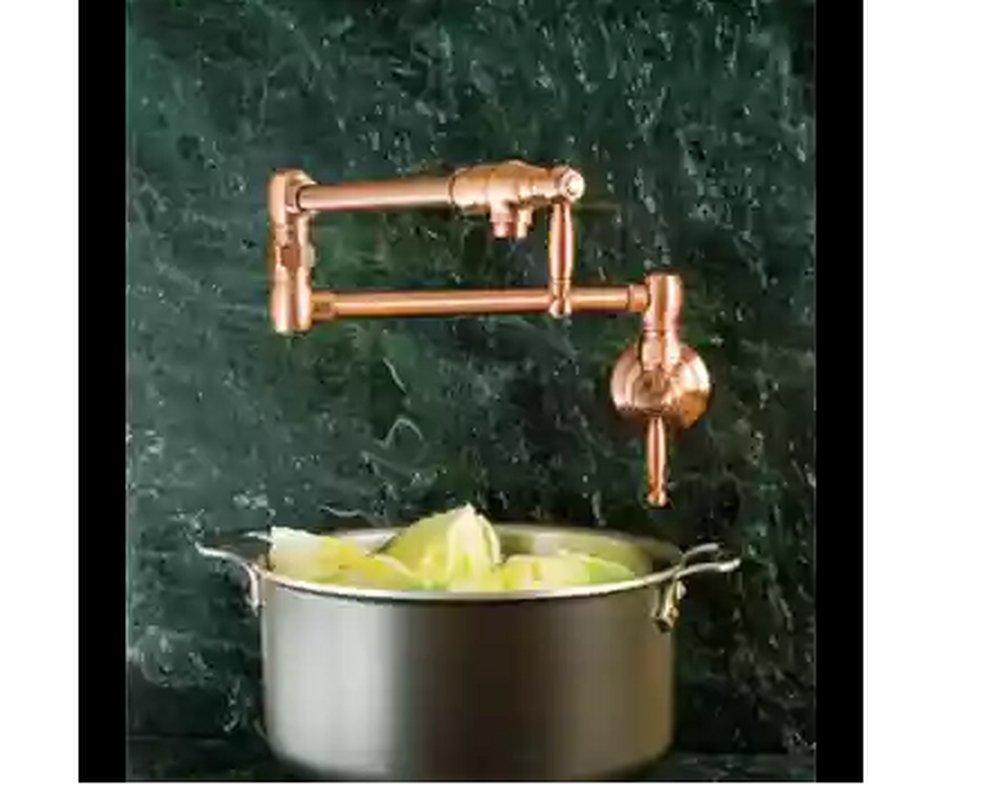 Newport Brass Uncoated Polished Brass - Living Two Handle Lever Pot Filler 
