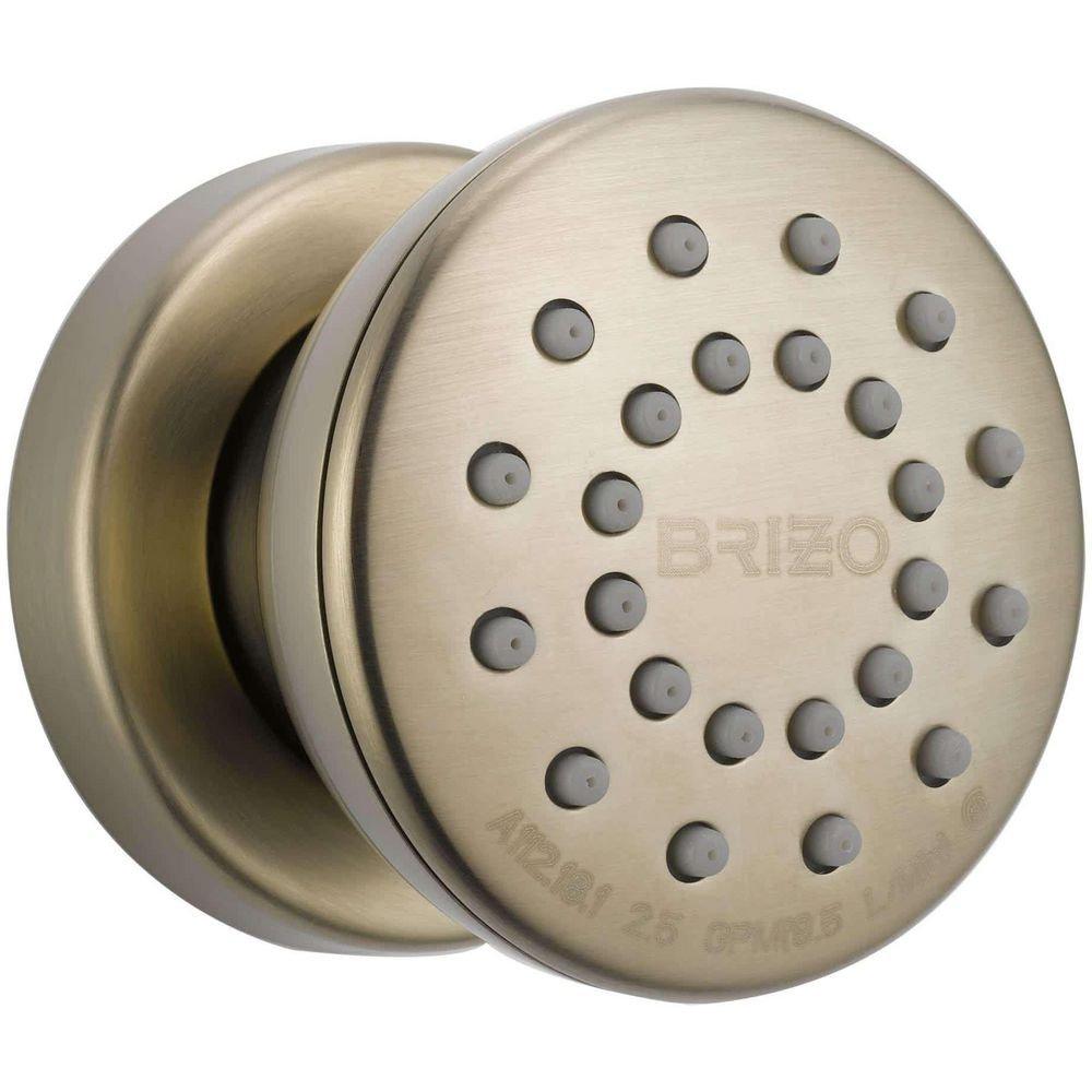Brizo Brushed Nickel Single Function Body Spray 