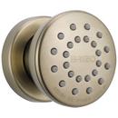 Brizo Brushed Nickel Single Function Body Spray 