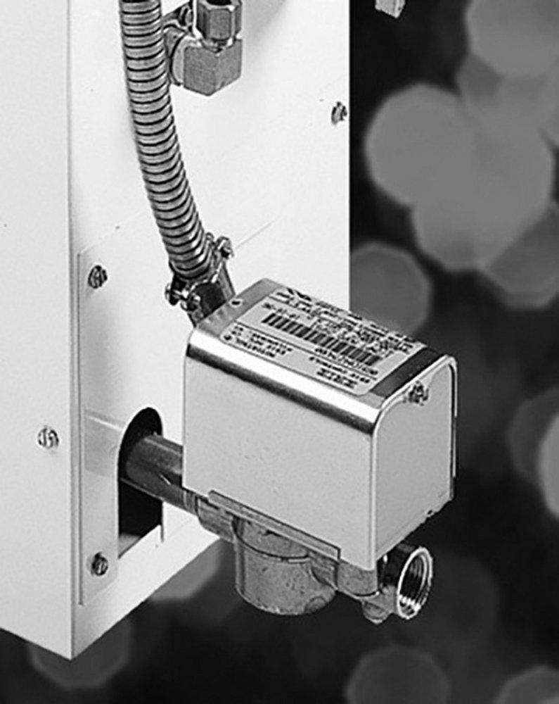 Steamist Black Valve 