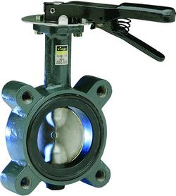 3 in. Ductile Iron EPDM Locking Lever Handle Butterfly Valve