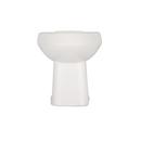 Zurn White Elongated Toilet Bowl 