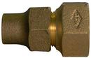 3/4 in. FNPT x Copper Flare Nut Brass Straight Coupling