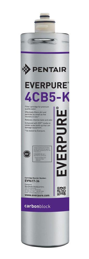 Pentair&reg; Everpure&reg; 6000 gal 1.67 gpm Carbon Block Cartridge 