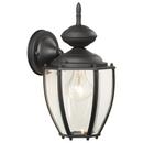100 W 1-Light Medium Lantern in Black