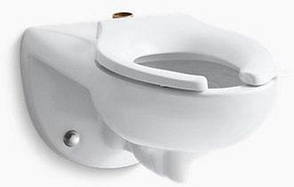 KOHLER Elongated Toilet Bowl with Top Spud in White Ferguson
