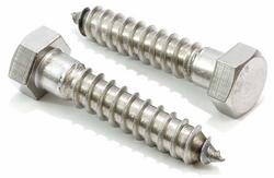 1/2 x 2-1/2 in. Plain Lag Bolt
