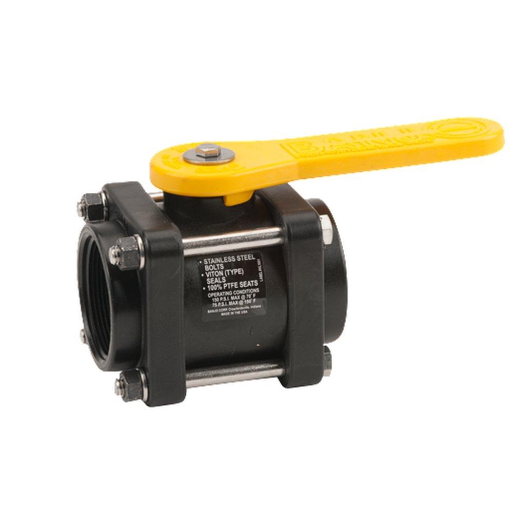 Banjo Plastic Full Port NPT 100# Ball Valve 