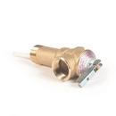 3/4 in. Brass 210F Pressure Relief Valve