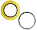 FNW&reg; Yellow 0.175 in. 300# Zinc Dichromate 304 Stainless Steel, Carbon Steel and Graphite Spiral Wound Flanged Gasket 