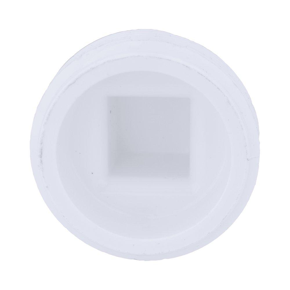 White PVC DWV Plug 