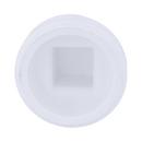 White PVC DWV Plug 