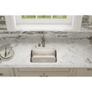 Elkay Lustrous Satin 20-1/2 x 16-1/2 in. No Hole Stainless Steel Single Bowl Undermount Kitchen Sink 