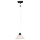 Thomas Lighting Painted Bronze 100 W 1-Light Medium Pendant 
