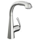 Single Handle Pull Out Kitchen Faucet in RealSteel®