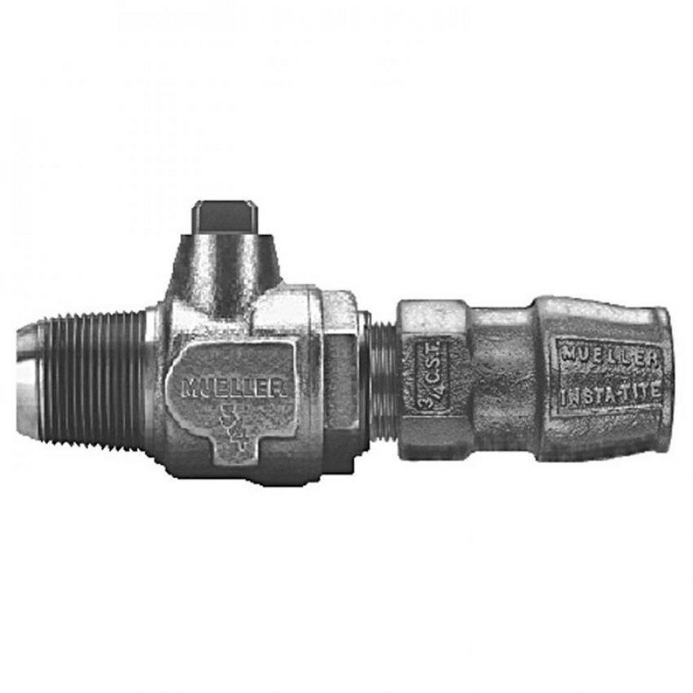 Mueller Company CC x IPS Corporation Ball Valve 