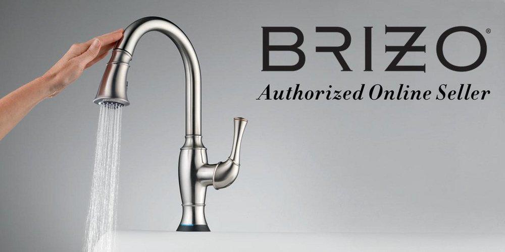Brizo Chrome Wall-Mount Bracket And Mounting Hardware - Hand Shower 