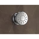 Delta Faucet Chrome Single Function Body Spray 