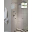 Delta Faucet Chrome Single Function Body Spray 
