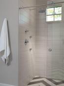 Delta Faucet Chrome Single Function Body Spray 