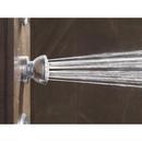 Delta Faucet Chrome Single Function Body Spray 