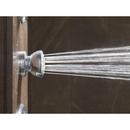 Delta Faucet Chrome Single Function Body Spray 