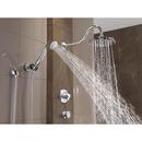 Delta Faucet Chrome Single Function Body Spray 