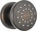 Single Function Body Spray in Venetian Bronze