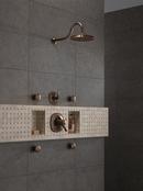 Delta Faucet Venetian Bronze Single Function Body Spray 