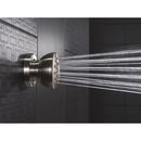 Delta Faucet Brilliance Stainless Single Function Body Spray 