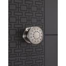Delta Faucet Brilliance Stainless Single Function Body Spray 